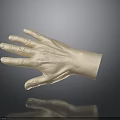 Realistic 3D Human Hand Model With Fine Hair On Dark Reflective Background