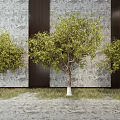 Modern Tree Combination 3d model