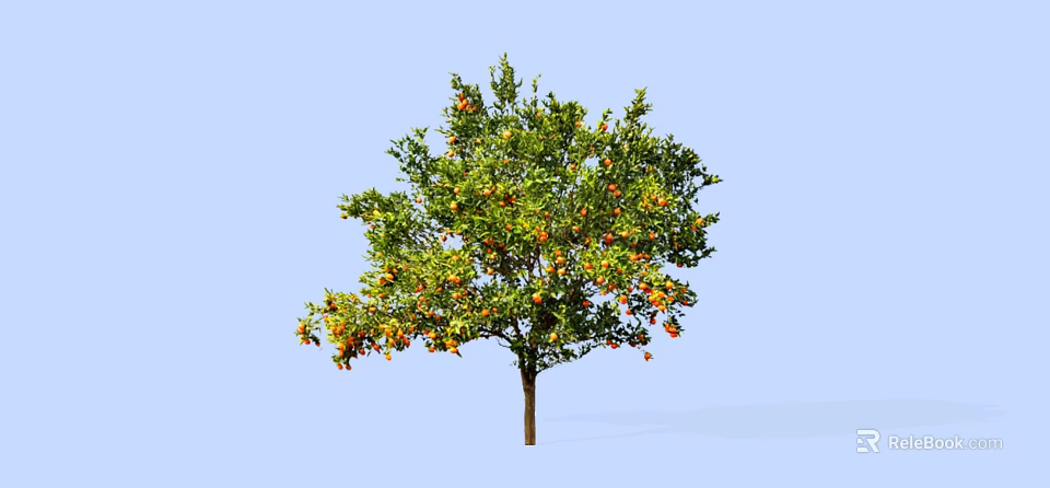 Healthy Lush Green Tree With Abundant Orange Fruits Against Blue Sky 3d model 