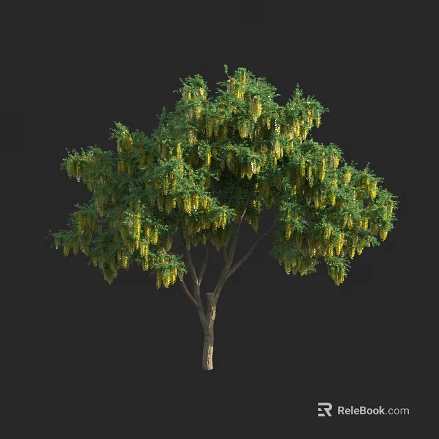 Tall Tree With Green Foliage And Yellow Hanging Flower Clusters 3d model 