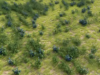 Green Herbs And Blue Flowers Growing Naturally On The Grassland 3d model