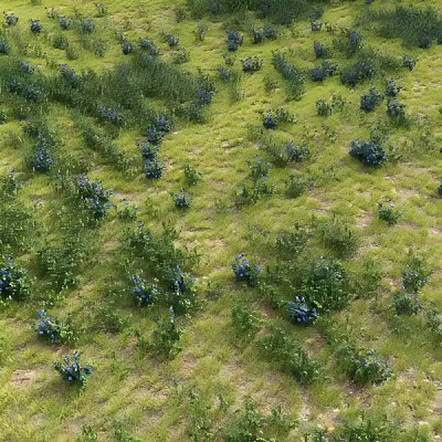 Green Herbs And Blue Flowers Growing Naturally On The Grassland 3d model