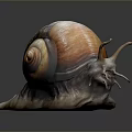 Orange Brown Spiral Shell Reptile Snail with Long Tentacles and Grey Background Reflection