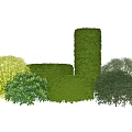 Rounded and Cylindrical Green Yellow Bushes for Garden Landscaping Design