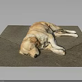 Yellow Labrador Dog Sleeping Peacefully On Gray Concrete Ground In Relaxed Position