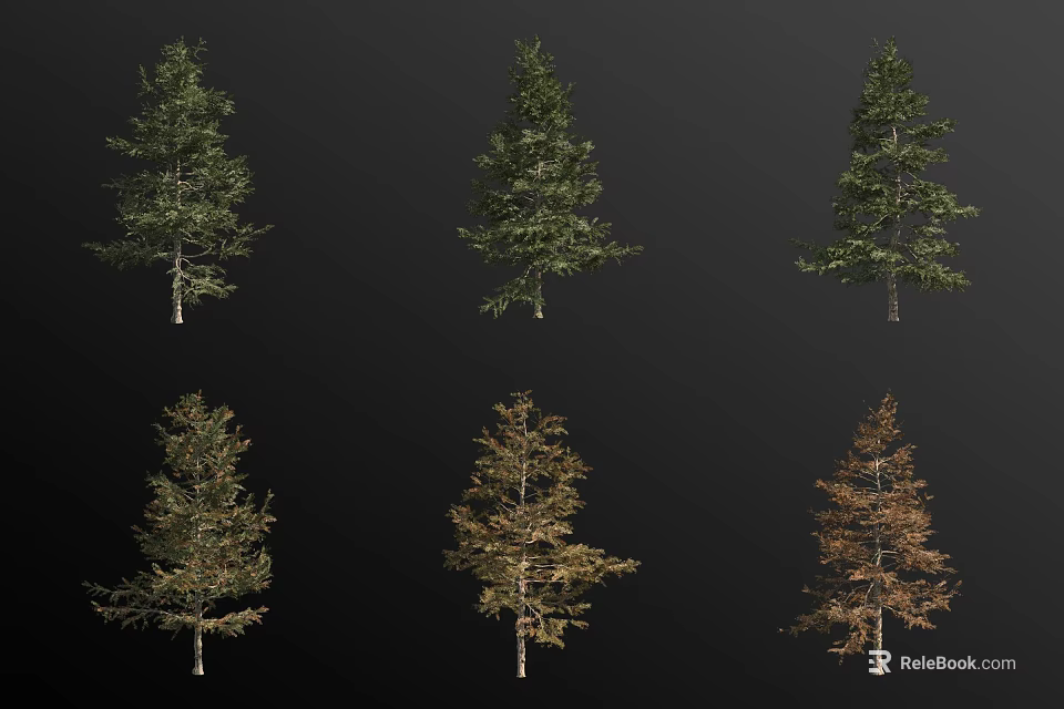 Different Types of Arbor Trees With Green and Autumn Foliage and Trunks 3d model 
