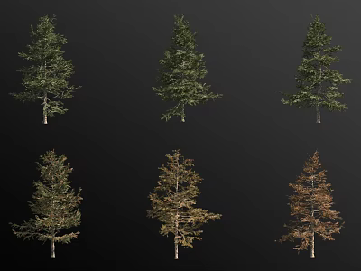 Different Types of Arbor Trees With Green and Autumn Foliage and Trunks 3d model