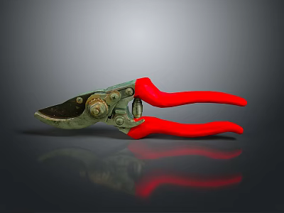 Red Handle Metal Pruning Shears Garden Cutting Tool With Reflective Surface 3d model