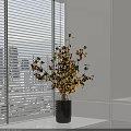 Yellow Flowers in Transparent Black Vase Near White Window Blinds and Cabinets