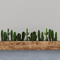 Multiple Bonsai Potted Cactus Plants In Wooden Rectangular Planter For Indoor Decor 3d model