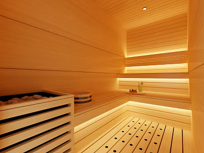 Elegant Wooden Sauna Interior Design With Warm Lighting And Paneling 3d model