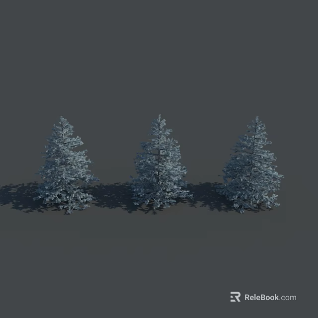 Three Tall Snow Covered Evergreen Coniferous Trees Standing On Gray Background 3d model 