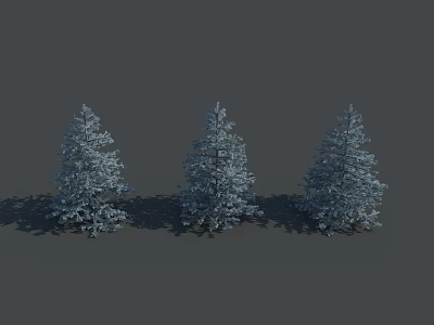 Three Tall Snow Covered Evergreen Coniferous Trees Standing On Gray Background 3d model