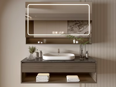 Modern Minimalist Bathroom Vanity Cabinet With Mirror Sink Basin Towels And Decorative Plants 3d model
