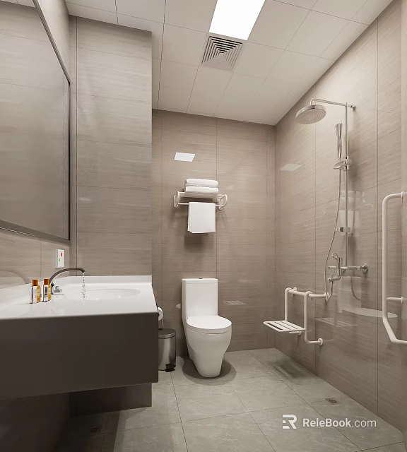 Other Bathroom Interior With Sink Mirror Toilet Towel Rack And Shower Grab Bars 3d model 