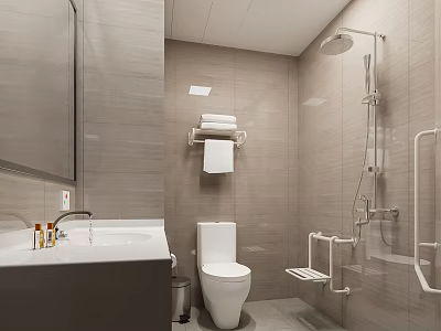 Other Bathroom Interior With Sink Mirror Toilet Towel Rack And Shower Grab Bars 3d model