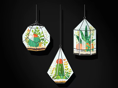 Hanging Geometric Glass Containers With Cacti And Succulent Plants On Black Background 3d model