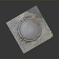 Patterned Manhole Cover on Gray Pavement with Fallen Leaves and Weeds