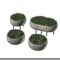 Concrete Bonsai Planters With Legs Various Shapes And Small Green Plants