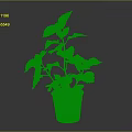 Vibrant Potted Plant with Red and Yellow Leaves in Gray Ceramic Pot