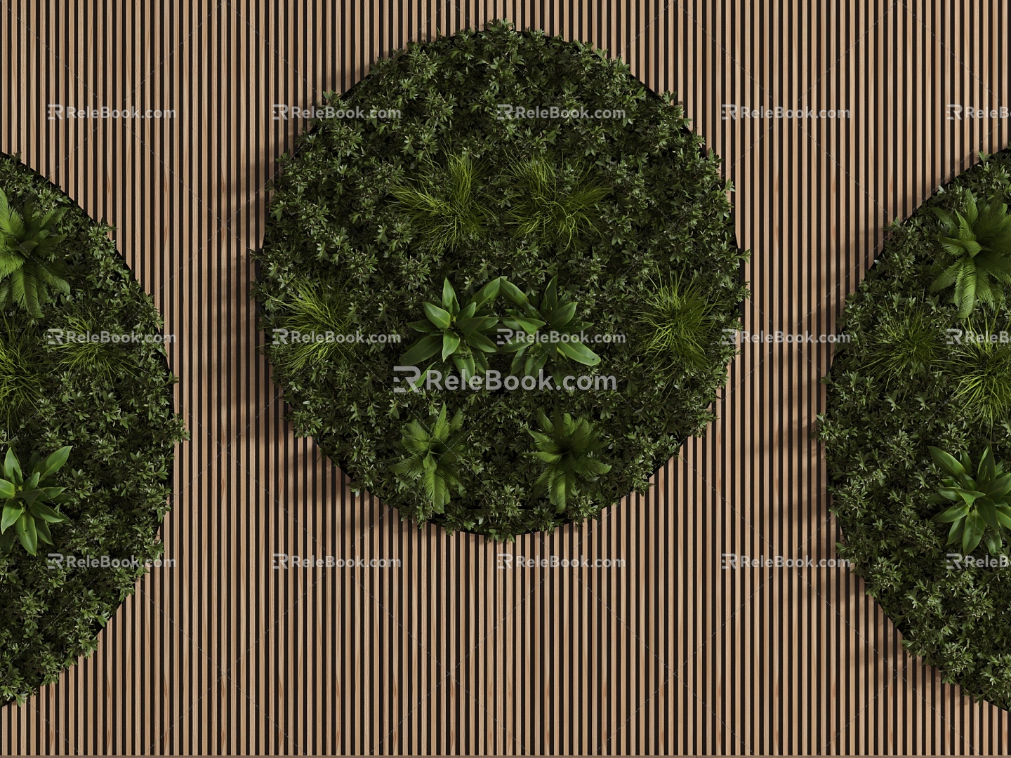 Plant Wall Plant Wall 3d model