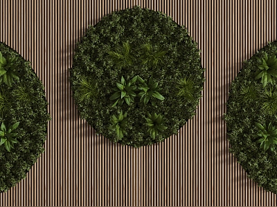 Plant Wall Plant Wall 3d model