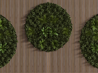 Plant Wall Plant Wall 3d model