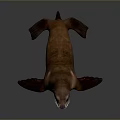 Brown Sea Lion Game Movie Character in Lying Pose with Realistic Texture and Detailed Features