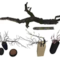 Natural Tree Branches Arranged in Ceramic and Stone Vases for Interior Decor 3d model