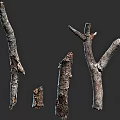 Natural Stone and Wood Decorative Branches with Rustic Textures and Organic Shapes