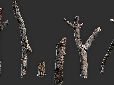 Natural Stone and Wood Decorative Branches with Rustic Textures and Organic Shapes 3d model