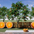 Flower Planters in Garden With Orange Trees Slice Decorations and Wooden Fence