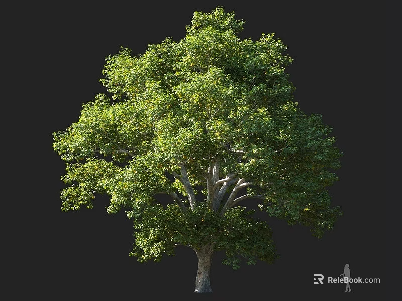 Lush Tall Arbor with Green Leaves Sturdy Trunk and Human Figure for Scale 3d model 