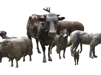 Diverse Reptile Collection Showcasing Lizards Snakes Turtles And Crocodile Species 3d model