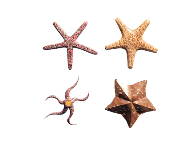 Various Colored Ceramic Starfish Decorative Items With Unique Shapes For Home Decor 3d model