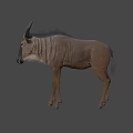 Realistic 3D Antelope Model With Grey Body Horns And Standing In Dark Background