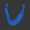 Game Movie Character Detailed Mandible Model With Realistic Teeth Structure Design