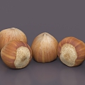 chestnut nut nut food 3d model