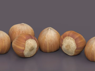 Fresh Hazelnuts With Natural Brown Shell Arranged In A Row 3d model