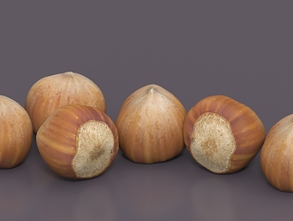 chestnut nut food 3d model