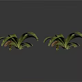 Green Decorative Plants with Brown Spots on Leaves and Different Sizes