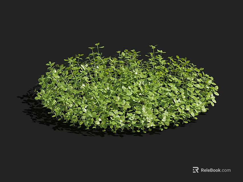 Lush Green Aquatic Plants Forming Round Clump In Water Garden With Fresh Foliage 3d model 