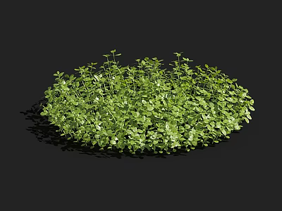 Lush Green Aquatic Plants Forming Round Clump In Water Garden With Fresh Foliage 3d model