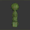 Green Plants With Small Red Fruits In Various Shapes And Different Heights On Gray Background