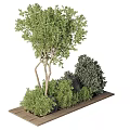 Elegant Bonsai Plant Arrangement with Curved Tree Green Shrubs and Black Rocks on Wooden Base