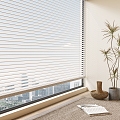 venetian blinds blinds blinds 3d model