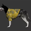Cute Husky Dog Wearing Yellow Leaf Pattern Shirt Standing On White Background