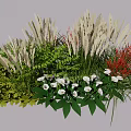 Colorful Garden Flowers And Grasses With White Calla Lilies Green Ferns And Red Plants