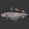 Realistic Silver Shiny Fish With Streamlined Body On Dark Background Reflection 3d model