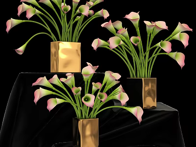 Pink Calla Lilies in Gold Square Vases on Black Cloth Background 3d model